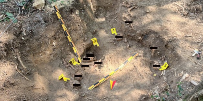 MD strona www (16) MD strona www (16)