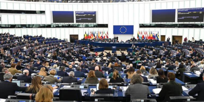 MD strona www (24) MD strona www (24)